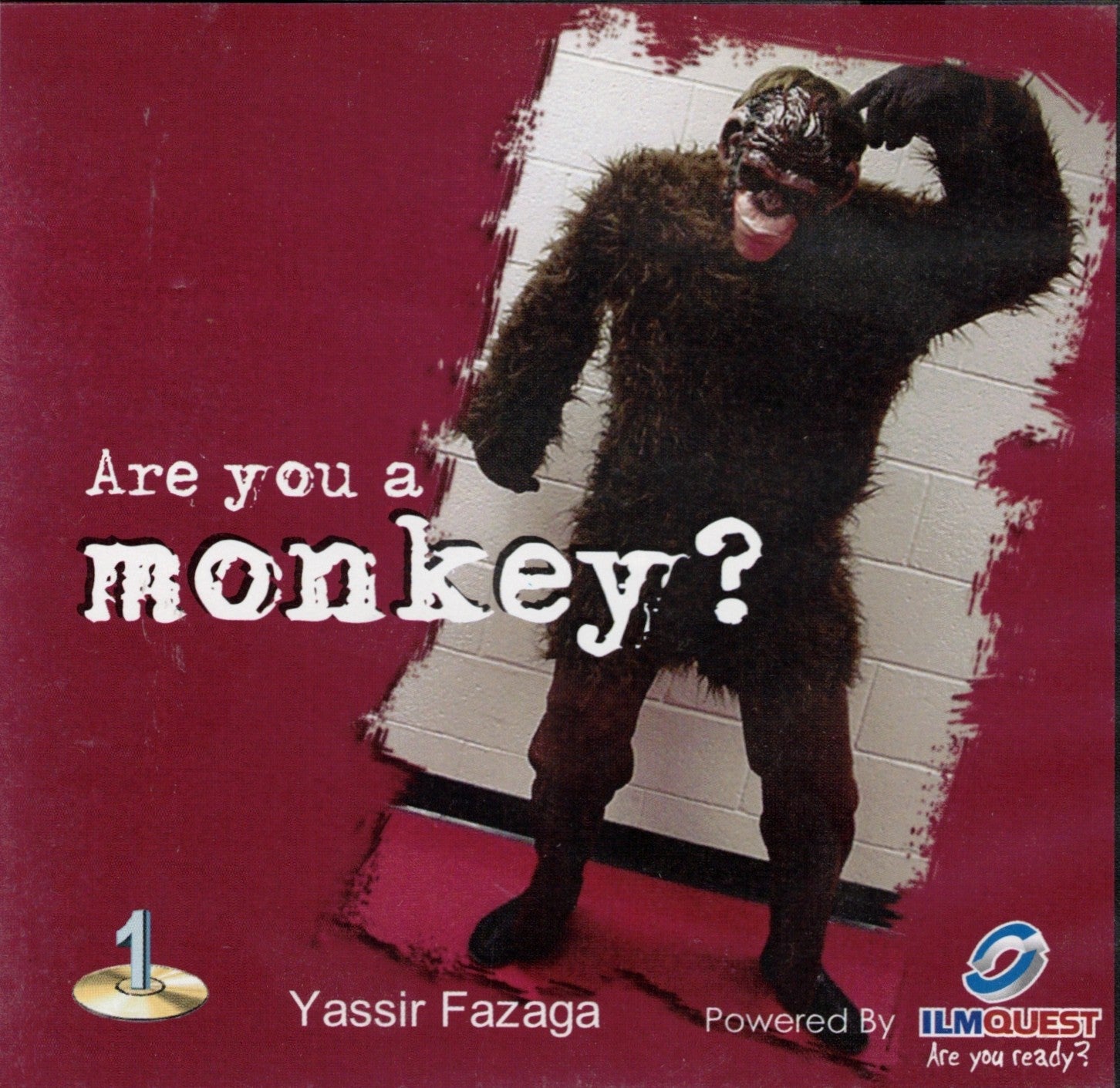 Are you a monkey?