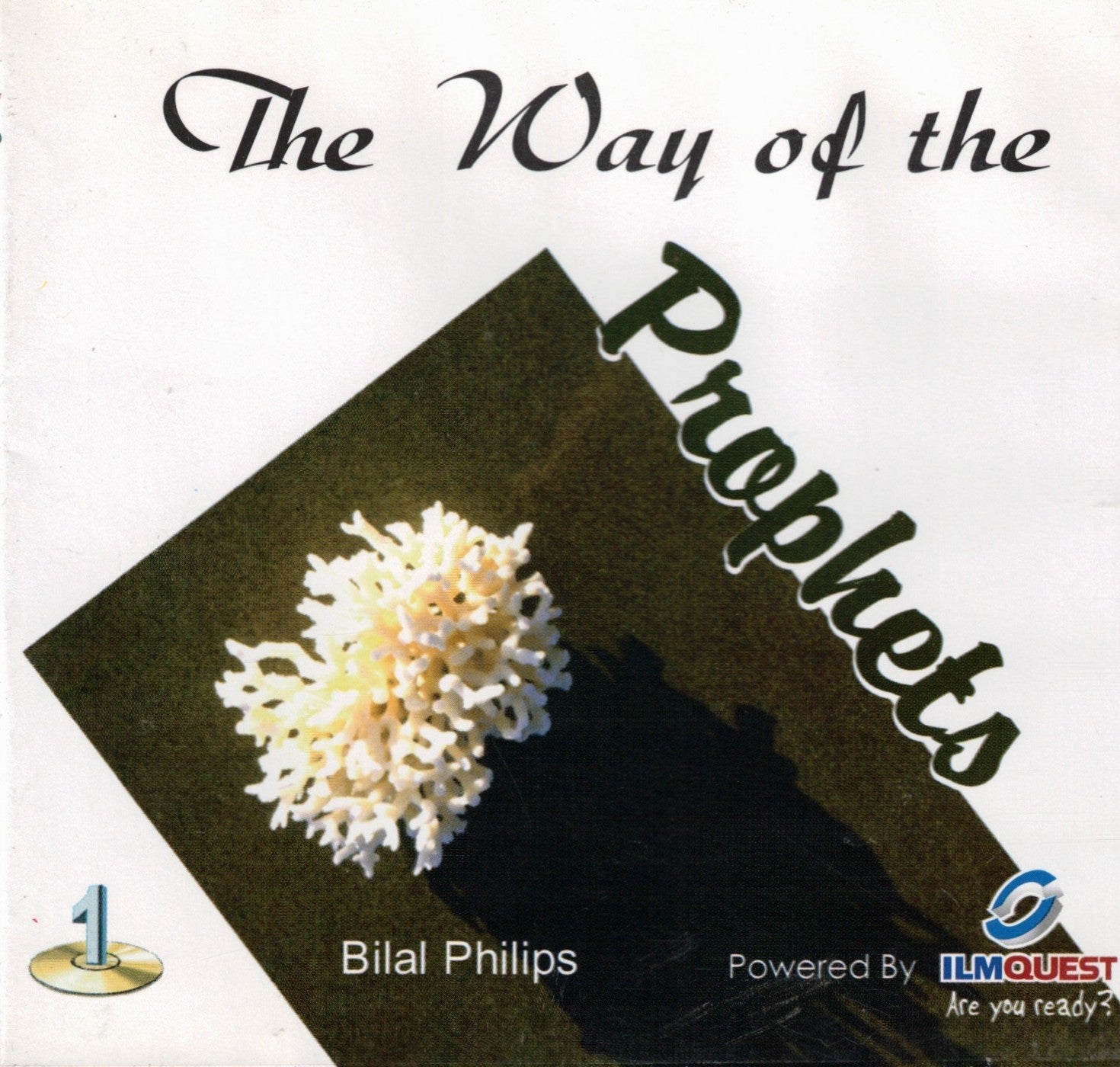 The Way of the Prophets