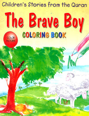 THE BRAVE BOY