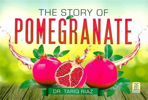 STORY OF POMEGRANTY
