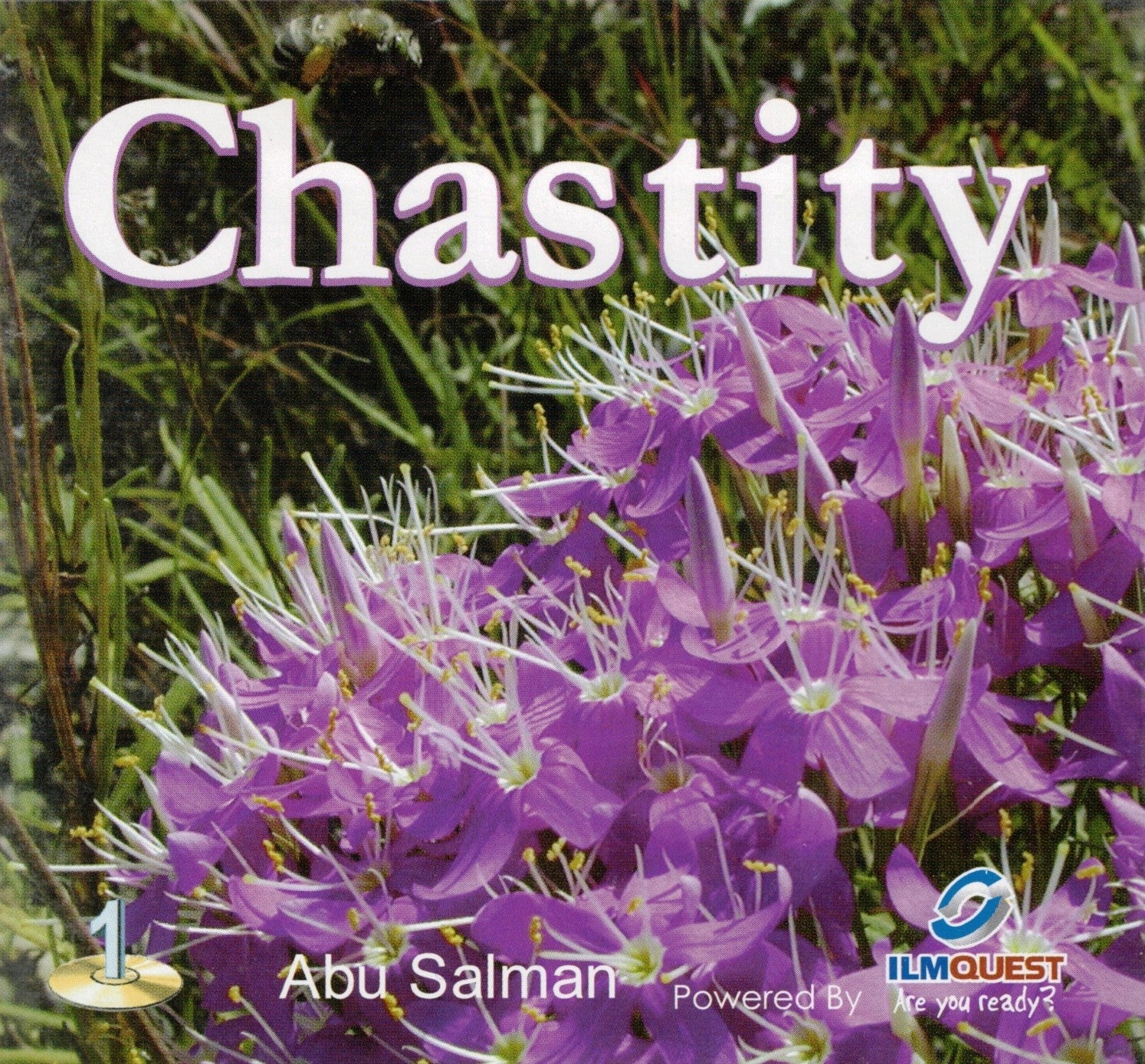 Chastity